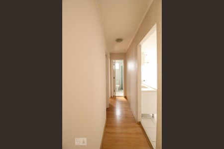 Corredor de apartamento à venda com 2 quartos, 50m² em Jardim Íris, São Paulo