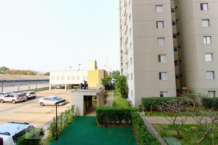 Sacada da Sala de apartamento à venda com 3 quartos, 61m² em Vila Guilherme, São Paulo