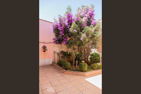 Casa à venda com 315m², 4 quartos e 3 vagasQuintal 2