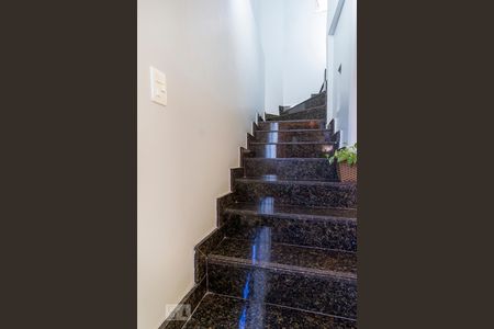 Escada de casa para alugar com 3 quartos, 234m² em Trevo, Belo Horizonte