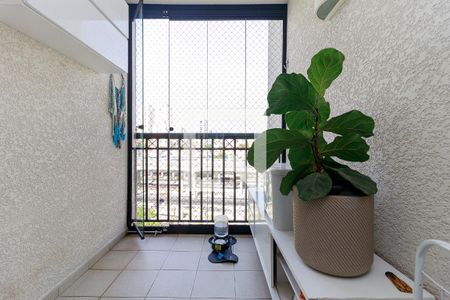 Sala - Varanda de apartamento para alugar com 3 quartos, 64m² em Jardim Aeroporto, São Paulo