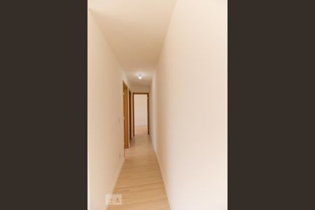 Corredor de apartamento à venda com 2 quartos, 43m² em Jardim Íris, São Paulo