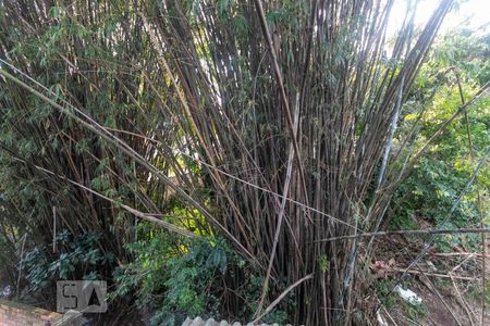 Casa para alugar com 75m², 3 quartos e 1 vagaVista do Quarto 3