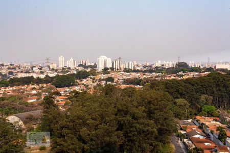 Apartamento para alugar com 65m², 1 quarto e 2 vagasVista