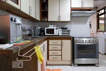 Apartamento à venda com 249m², 4 quartos e 4 vagasCozinha 