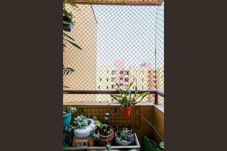 Varanda da Sala de apartamento para alugar com 2 quartos, 60m² em Parque São Vicente, Santo André