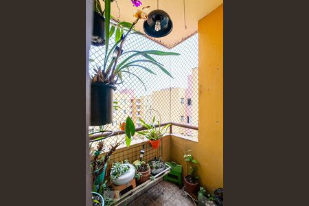 Varanda da Sala de apartamento para alugar com 2 quartos, 60m² em Parque São Vicente, Santo André