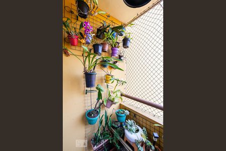 Varanda da Sala de apartamento para alugar com 2 quartos, 60m² em Parque São Vicente, Santo André