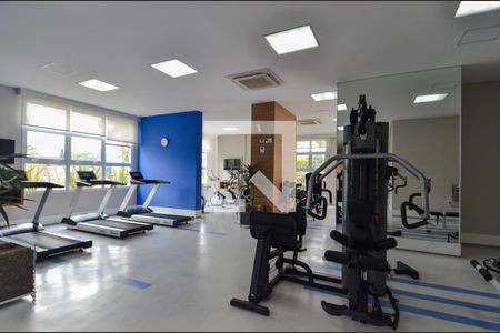 Área comum - Academia de apartamento para alugar com 3 quartos, 106m² em Jardim Flor da Montanha, Guarulhos