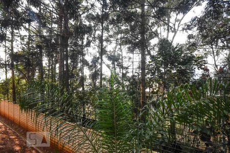Vista de apartamento para alugar com 2 quartos, 44m² em Jardim Helga, São Paulo