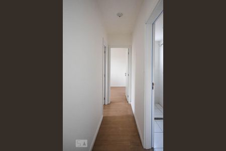 Corredor de apartamento para alugar com 2 quartos, 44m² em Jardim Helga, São Paulo