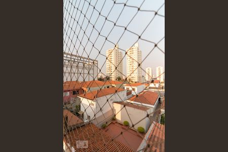 Vista sala de apartamento para alugar com 2 quartos, 58m² em Vila Paulista, Guarulhos