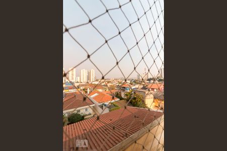 Vista sala de apartamento para alugar com 2 quartos, 58m² em Vila Paulista, Guarulhos