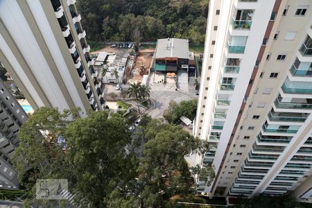 Vista da Varanda de apartamento para alugar com 2 quartos, 57m² em Paraíso do Morumbi, São Paulo
