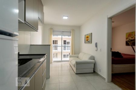 Sala e Cozinha de apartamento para alugar com 1 quarto, 31m² em Vila Palmeiras, São Paulo