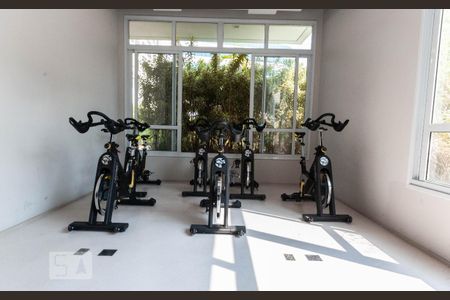 Apartamento para alugar com 60m², 2 quartos e 2 vagas Apartamento para alugar com 60m², 2 quartos e 2 vagasÁrea Comum - Academia
