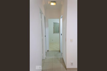 Corredor de apartamento para alugar com 3 quartos, 60m² em Jardim Santa Terezinha (zona Leste), São Paulo
