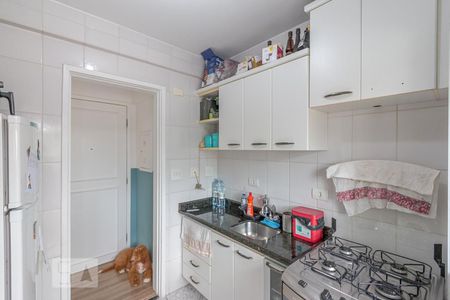 Apartamento para alugar com 50m², 1 quarto e 1 vagaCozinha