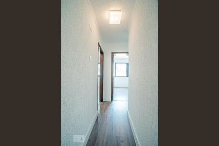 Hall dos Quartos e Banheiro de casa para alugar com 2 quartos, 80m² em Jardim Petrópolis, São Paulo