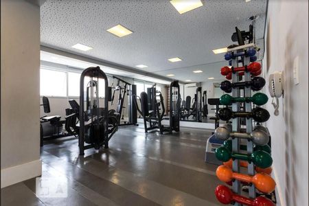 Studio para alugar com 35m², 1 quarto e 1 vaga Studio para alugar com 35m², 1 quarto e 1 vagaÁrea comum - Academia