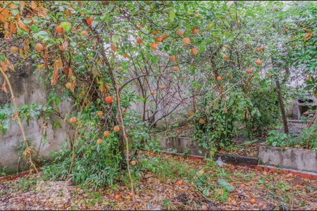 Casa à venda com 180m², 3 quartos e 2 vagasJardim