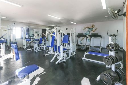 Area Comum Academia de apartamento à venda com 2 quartos, 52m² em Jardim Celeste, São Paulo
