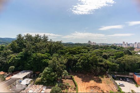 Vista do Quarto 1 de apartamento para alugar com 2 quartos, 48m² em Vila Nova Cachoeirinha, São Paulo
