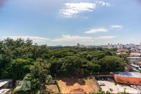 Vista da Varanda de apartamento para alugar com 2 quartos, 48m² em Vila Nova Cachoeirinha, São Paulo