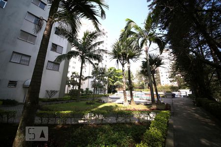 Apartamento para alugar com 75m², 3 quartos e 1 vagaÁrea comum