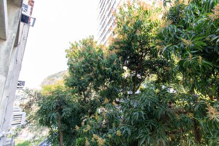 Vista de kitnet/studio para alugar com 1 quarto, 22m² em Botafogo, Rio de Janeiro