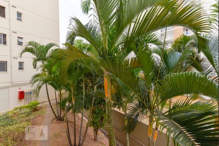 Sala de apartamento à venda com 2 quartos, 60m² em Vila Progresso, Campinas