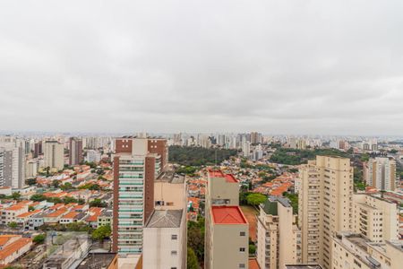 Studio para alugar com 26m², 1 quarto e sem vagaVista da Cobertura 