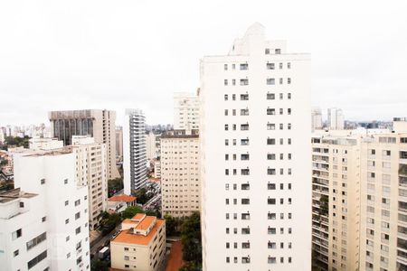 Vista de apartamento à venda com 4 quartos, 400m² em Paraíso, São Paulo