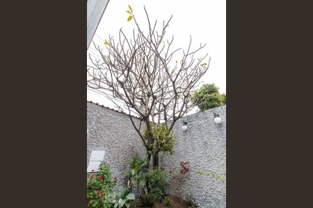 Casa à venda com 175m², 2 quartos e 2 vagasGaragem/Quintal Frontal - Detalhe