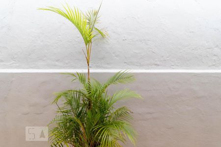 Casa à venda com 175m², 2 quartos e 2 vagasVista da Suíte 1