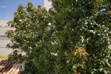 Apartamento para alugar com 52m², 2 quartos e sem vagaVista