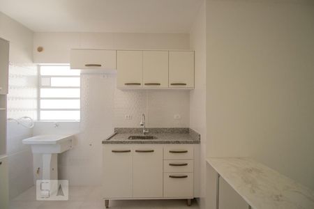 Apartamento para alugar com 52m², 2 quartos e sem vagaCozinha e Área de Serviço