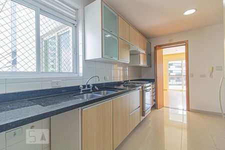 Apartamento para alugar com 156m², 3 quartos e 2 vagasCozinha
