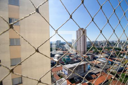 Vista da Suíte de apartamento para alugar com 2 quartos, 56m² em Vila Tijuco, Guarulhos