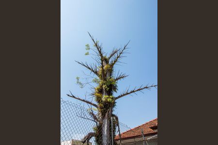 Casa à venda com 300m², 4 quartos e 3 vagasÁrea externa 