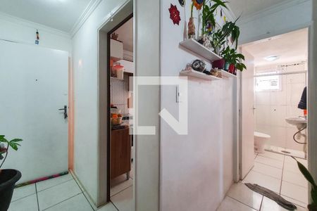 Entrada de apartamento para alugar com 1 quarto, 38m² em Cambuci, São Paulo