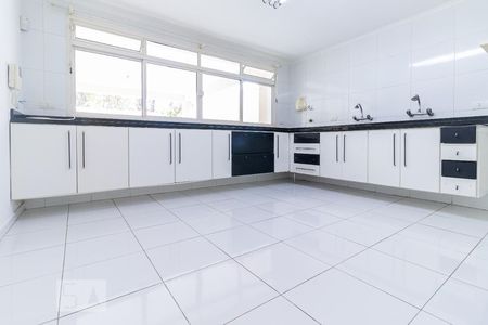 Casa para alugar com 480m², 4 quartos e 8 vagasCozinha - Armários