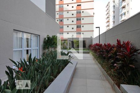 Apartamento para alugar com 52m², 2 quartos e 1 vaga Apartamento para alugar com 52m², 2 quartos e 1 vagaÁrea comum