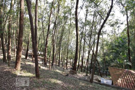 Apartamento à venda com 65m², 3 quartos e 1 vagaBosque