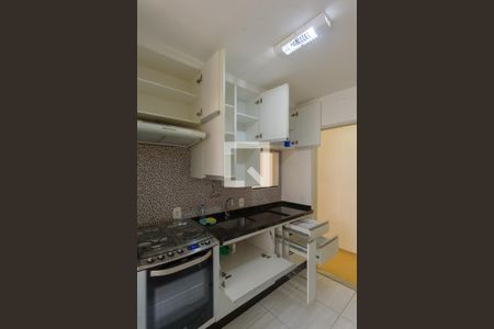 Cozinha - Armários de apartamento para alugar com 3 quartos, 75m² em Parque Italia, Campinas