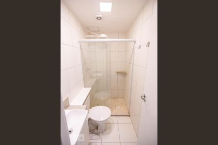 Banheiro Social de apartamento para alugar com 2 quartos, 50m² em Vila Butantã, São Paulo