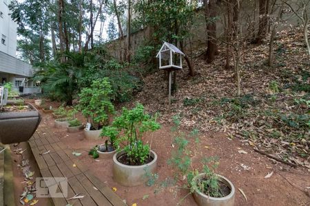 Apartamento para alugar com 50m², 1 quarto e 1 vagaÁrea comum - Horta