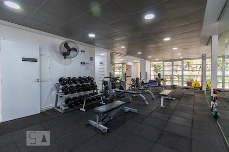 Apartamento para alugar com 50m², 1 quarto e 1 vagaÁrea comum - Academia