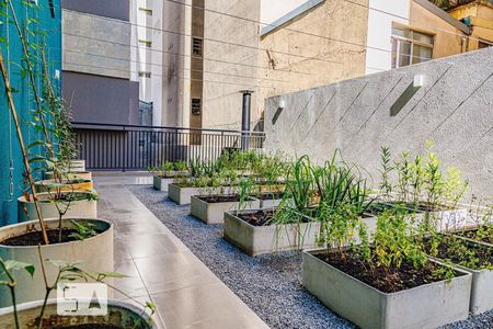 Apartamento para alugar com 26m², 1 quarto e sem vaga Apartamento para alugar com 26m², 1 quarto e sem vagaHorta