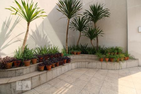 Apartamento para alugar com 68m², 2 quartos e 1 vagaÁrea comum